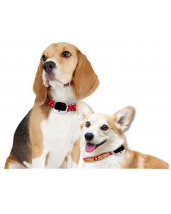 GPS tracker voor hond inclusief halsband waterdicht